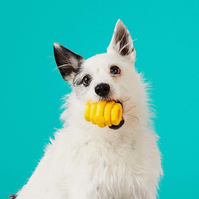 PROJECT HIVE ·PET COMPANY· - Hive Chew Toy for Small Dogs - Dog Chew Toy for Puppies and Small Breeds - Floats in Water - Durable and Tough - Made in The USA