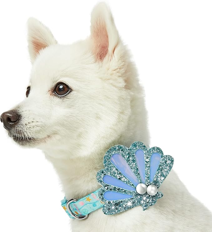 Blueberry Pet Summer Sparkle Dog Collar, Adjustable Small Size, Neck 12"-16", Turquoise, Ocean Fish and Seahorse Print Nautical Pet Collar with Detachable Seashells Accessory