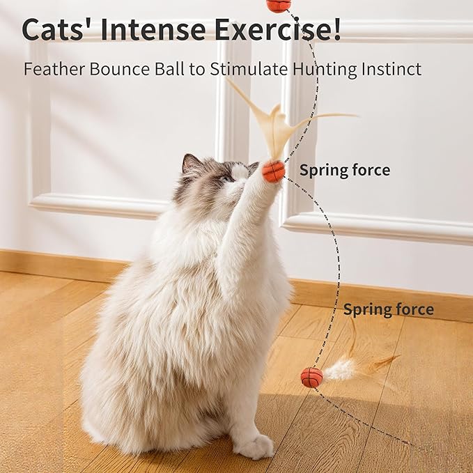 Cat Scratching Board - Football Sports Field Design with Elastic Ball, Hide-and-Seek Holes, and Interactive Play Box for Indoor Cats