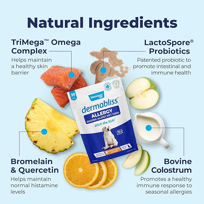 Vetnique Dermabliss Dog Allergy Relief & Immune Support Supplement Allergy Chews for Dogs Itching and Licking with Omega 3 Fish Oil & Probiotics for Itch Relief - Vet Recommended (30 Count Chews)