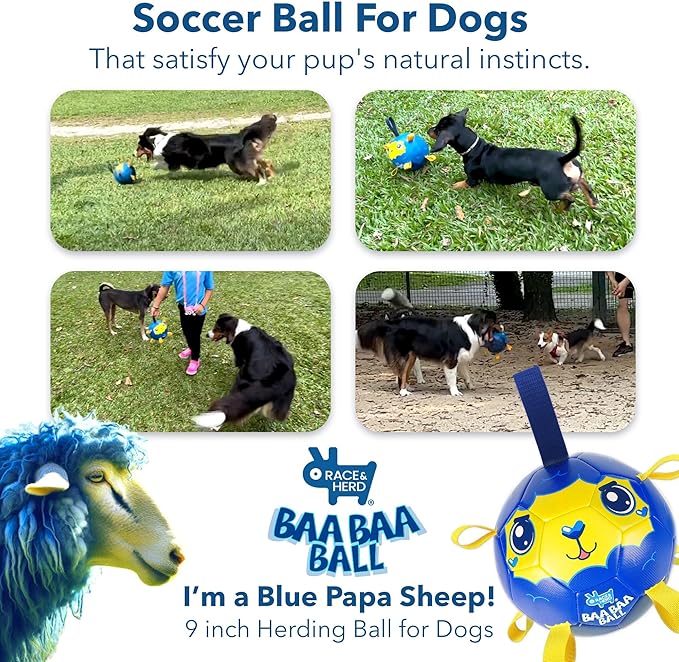 Race&Herd 9" Jolly Soccer Ball for Dogs - Tough Durable Dog Ball Toy with Straps, Pet Bouncy Herding Balls for Dogs, Floating Dog Balls with Tags for Water Fetch, BaaBaaBall (Blue)
