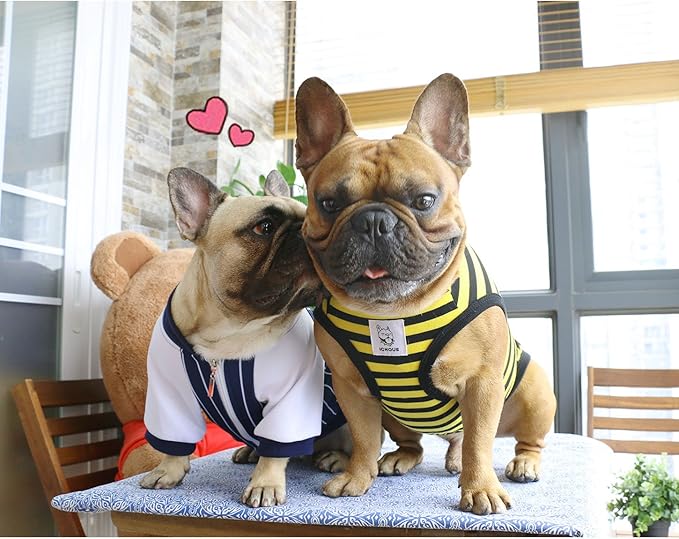 iChoue French Bulldog 100% Breathable Cotton Striped T Shirts Halloween Vest Clothes for Medium Dogs Tank Tops Frenchie Pug English Boston Terrier Pitbull Yellow Black Stripes - Large