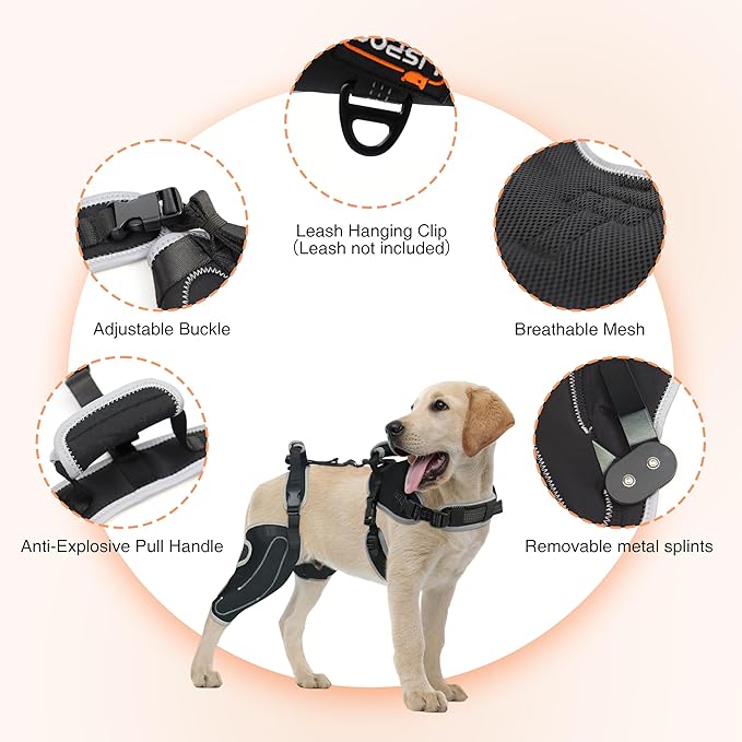 Dog Knee Support for ACL Tear Rehabilitation and Dislocated Patella -Adjustable Leg Support and Sufficient Breathability,Injury Recovery and Balance Assistance-Right Leg-M Size