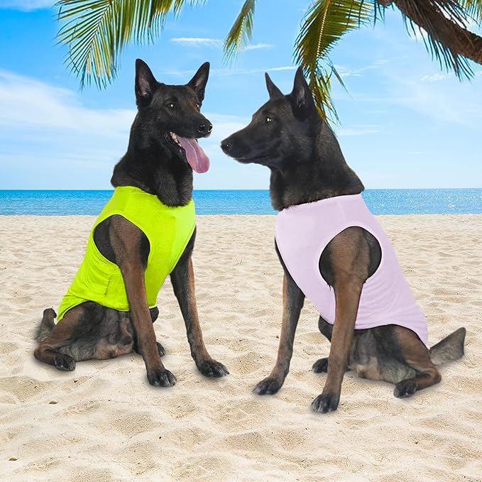 2 Pack Dog Shirts, Ice Pet Vest Dog Clothes for Instant Cooling, Lightweight Breathable Sleeveless T-Shirts for Medium Large Dogs, Light Purple+Fluorescent Green (M)