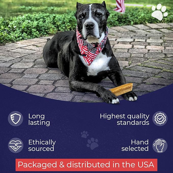 Devil Dog Pet Co. Himalayan Yak Cheese Dog Chews, Beast - 1 Pack, 100% Natural & Healthy, Lactose-Free, Long-Lasting Dog Treats, Premium Yak Milk Chew Bones for Dogs
