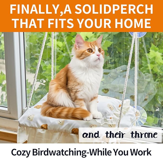 Cat Window Perch, Heavy Duty 20KG/44LB Suction Cup Hammock Bed with Soft Cushion, Secure & Stable Window Mount for Lazy Time, Bird Watching, Safe for Large Cats, 18.9"x14.5" (Little Bear)