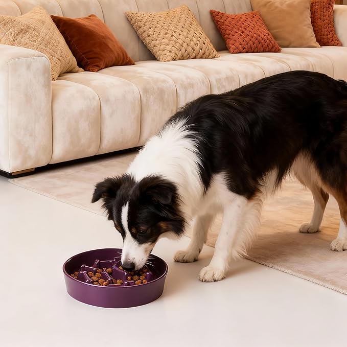 Ceramic Slow Feeder Dog Bowl, 1.5 Cup Dog Food or 20oz Water, Slow Eating Bowl for Small Breed, Maze Puzzle Feeder for Fast Eaters, Anti-Choking Stop Bloat, Non-Slip BPA Free (Purple)