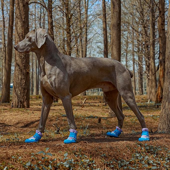 Dog Shoes, Waterproof Dog Boots & Paw Protectors with Anti-Slip Sole, 4pcs/Set Pet Dog Booties, Reflective Dog Shoes for Small Medium Large, Winter Snowy Summer Hot Pavement (Blue, 4# (S))