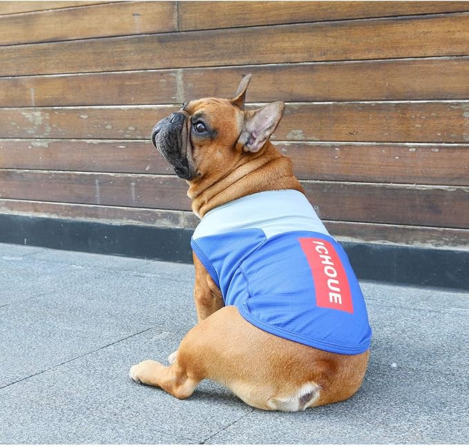 iChoue French Bulldog Summer Cooling Shirt for Dogs UV Sun Protection Vest Sleeveless Stretchy Tank Top English Pug Grey Blue - XXLarge