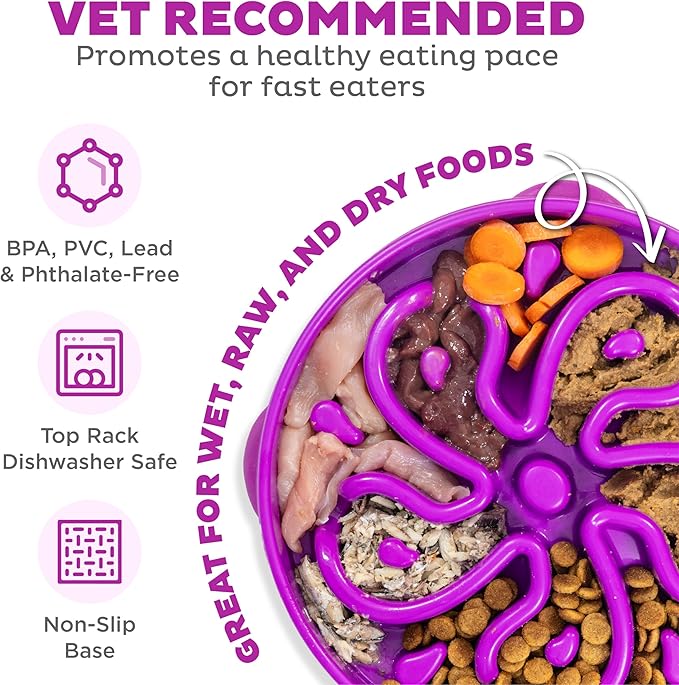 Outward Hound Slow Feeder Dog Bowl – Prevents Bloating & Fast Eating – Large 4 Cup Purple Flower