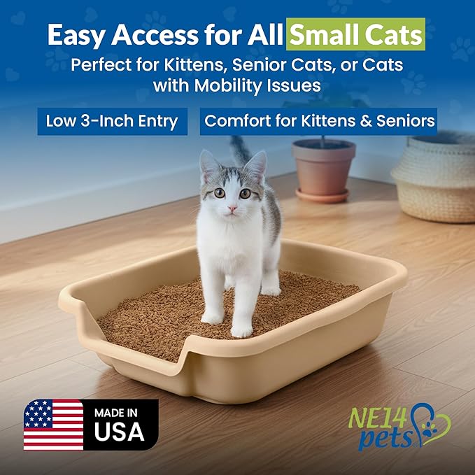 KittyGoHere Senior Cat Litter Box, Small Litter pan, Open Top Low Entrance Kitty Litter Box, Lightweight Low Entry Litters Box, Durable, Made in USA (2 Pack - Beach Sand)