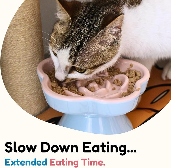 Detachable Slow Feeder Cat Bowl, Melamine Elevated Cat Bowls - Heavy Weighted, Tilted Raised Slow Feeder, Non-Slip Small Dogs Slow Feeders Bowl, Dry & Wet Food, Whisker Friendly(Pink, 5.8"