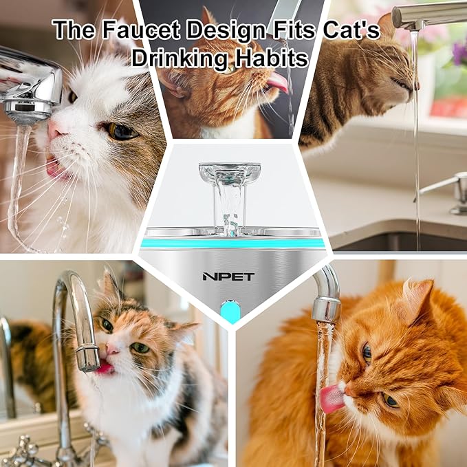 NPET WF210 Cat Water Fountain Stainless Steel, 50oz/1.5L Dishwasher-Safe Pet Water Fountain Ultra Quiet Automatic Cat Water Dispenser with Light for Cats Inside (4 Filters+Fountain(with Adapter))