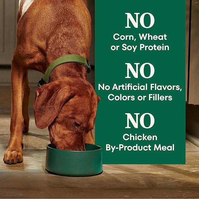 Nutro Natural Choice Adult Dry Dog Food, Chicken & Brown Rice Recipe, 30 lb. Bag