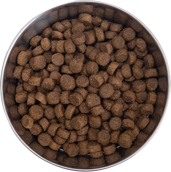 Health Extension Grain Free Chicken & Turkey Dry Dog Food - 30+ Superfoods and Probiotics for All Life Stages (23.5 lb)