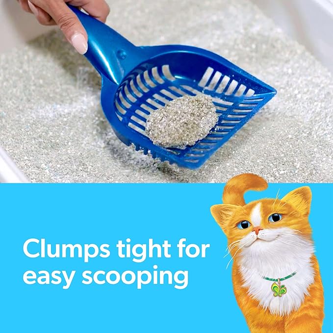 Fresh Step Clumping Litter with Febreze Freshness Gain Original Scent, Low-Dust Formula with Ammonia Block Technology, 14 lb. Box (Pack of 2)