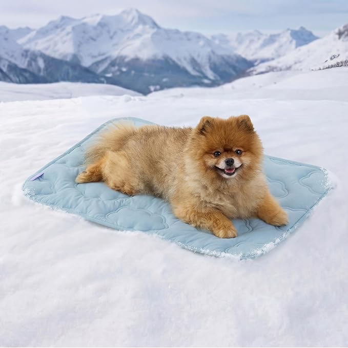 LE SURE Dog Cooling Mat for Small Dogs - QMAX>0.5 Breathable Thin Cool Crate Pad for Cat with Chill Fiber and Innovative Mesh Base Design, Portable Washable Pet Kennel Mat for Summer, 24x18,Blue