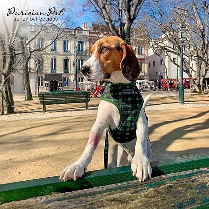 Parisian Pet Adjustable Plaid Green Dog Vest Harness - No Choke, Padded, No Pull - Small-Sized Dog - Cooling for Walking, Running, Hiking - Puppy