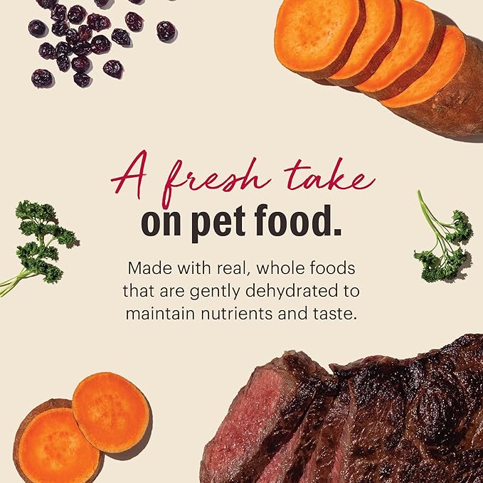 The Honest Kitchen Wholemade™ Dehydrated Grain Free Beef Dog Food, 10 lb Box