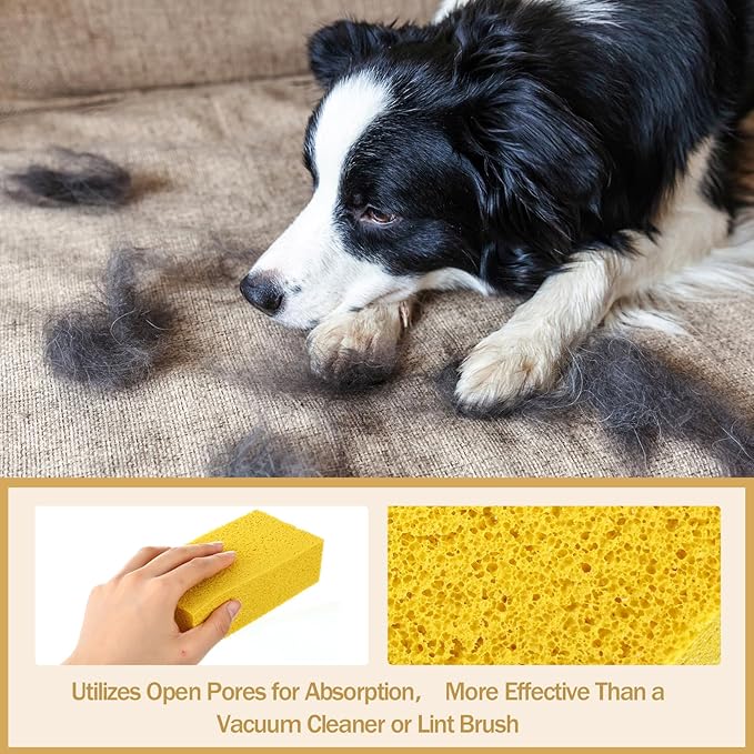 8 Pack Pet Hair Lifter Remover Sponge Cat and Dog and Other Pet Hair from Furniture, Carpet, Bedding and Clothing, Removal Tool, 5.91 x 2.76 x 1.57 Inches