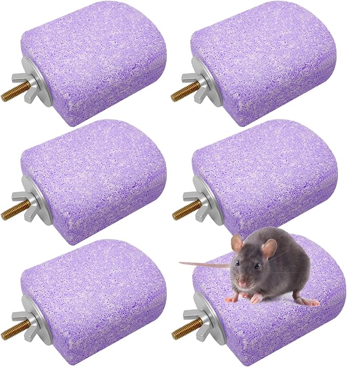 Lava Ledges for Rats 6 Pack Hamster Climbing Ledge Platform Pumice Ledge Shelf Pet Chewing Grinding Toys Small Animals Cage Accessories for Mouse Guinea Pig Gerbil Purple