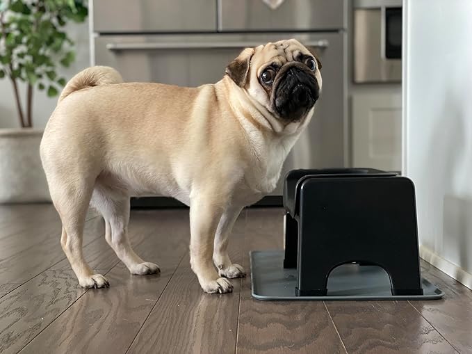 The Fluff Trough Elevated Slow Feeder Dog Bowl - Prevents Fast Eaters from Binging & Choking on Food, Minimizes Neck Strain, Suitable for Flat-Faced Pets, Vet Recommended, Dishwasher Safe, Black