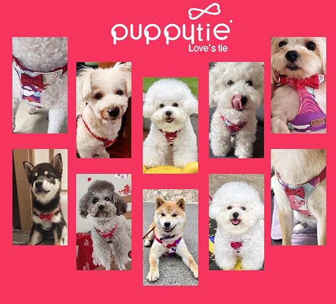 Puppytie No Pull xs Dog Harness with Multifunction Dog Leash,Soft Adjustable No Choke Escape Proof Pet Harness Vest,Suede Bow Wine red,XS