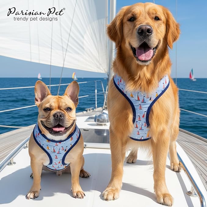 Parisian Pet Freedom Harness - Sail Boats