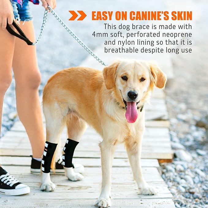 NeoAlly® - Rear Leg Hock Brace, Dog Leg Brace for Rear Leg, Hock & Ankle Support for Large Dogs, Dog Brace for Torn Acl and Ccl, Long Version, Small, 1 Pair