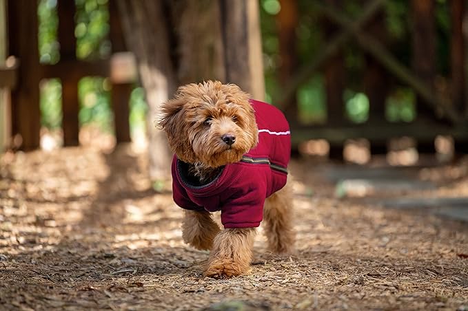 BoxDog Polar Fleece Warm Dog Jacket I Cold Weather Dog Coat | Dog Jackets Size XS, Small, Medium, Large, XLarge, XXL (X-Large, Red)