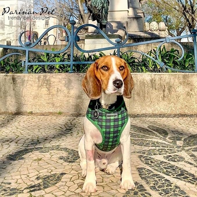 Parisian Pet Dog Harness - Adjustable Bright Green Dog Vest Harness - No Choke, Soft Padded, and No Pull Puppy Harness - Cooling Dog Harness for Large Dogs - Idle for Walking, Running, and Hiking - L