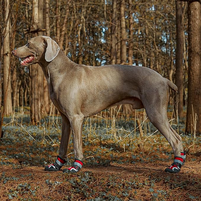 Dog Shoes, 4 PCS Dogs Booties Hot Pavement, Waterproof Non-Slip with Reflective Strips, Large Medium Small Puppy Paw Protector for Walking