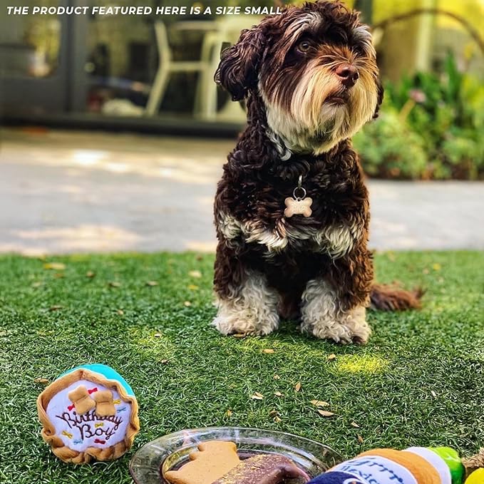 Haute Diggity Dog Birthday Boy Cake, Plush Designer Dog Toys with Interactive Squeaker, Stimulating Pet Enrichment, Machine-Washable & Safe Materials for All Breeds, Size Small
