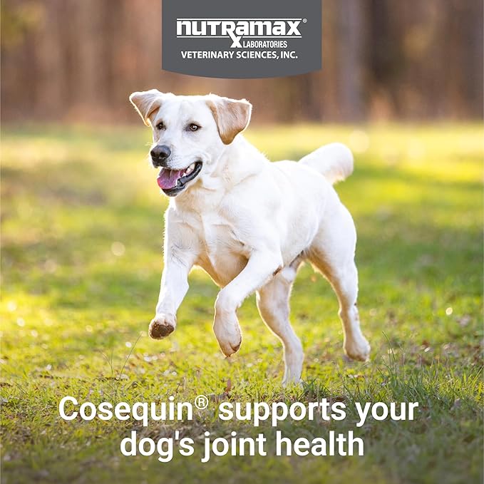 Nutramax Cosequin for Dogs Joint Health Supplement, Contains Glucosamine for Dogs, Plus Chondroitin, Supports Healthy Joints, Sprinkle Capsules, 132 Count