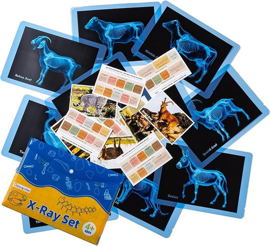 Farm Animal Xrays – 10 Pcs Animal Science Kit for Kids, Light Table Accessories for Vet Role Play & Preschool Learning
