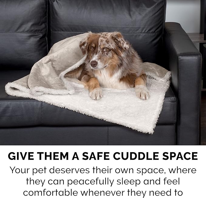 Furhaven Waterproof & Self-Warming Throw Blanket for Dogs & Indoor Cats, Washable & Reflects Body Heat - Soft-Edged Terry & Sherpa Dog Blanket - Dove, Small