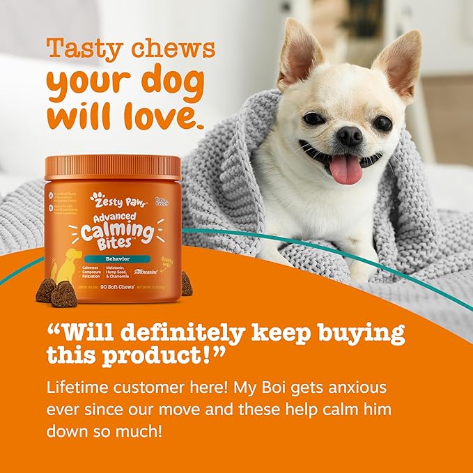 Zesty Paws Calming Chews for Dogs - for Everyday Stress, Relaxation, Composure, and Separation Bacon 90 Count