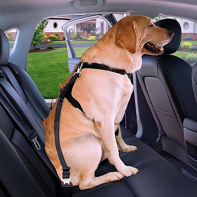 Dog Seat Belt for Car - Adjustable Dog Car Safety Harness, Elastic Cushioning Seatbelt Leash, Reinforced Metal Buckle Anti-Tangle Design, for Small and Medium Pets (Pink)