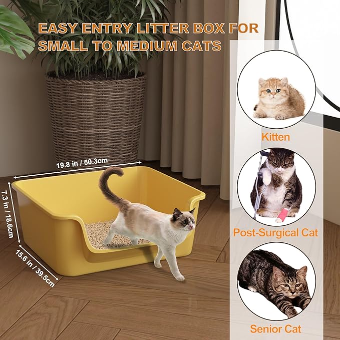 Open-Top Large High Sides Cat Litter Box with Low Entrance, Suitable for Small and Elderly Cats, Anti-Splash, 19.8” x15.6”x7.3” for Indoor Use