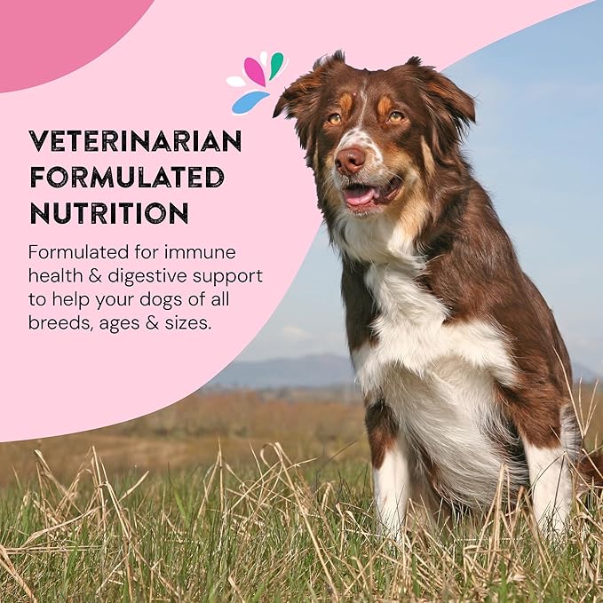 Daily Wellness Supplements for Dogs | Probiotic & Prebiotic Benefits with Fish Oil & Seaweed to Keep Your Dog Beaming All Day Long | All Breeds and Sizes | 60 Count