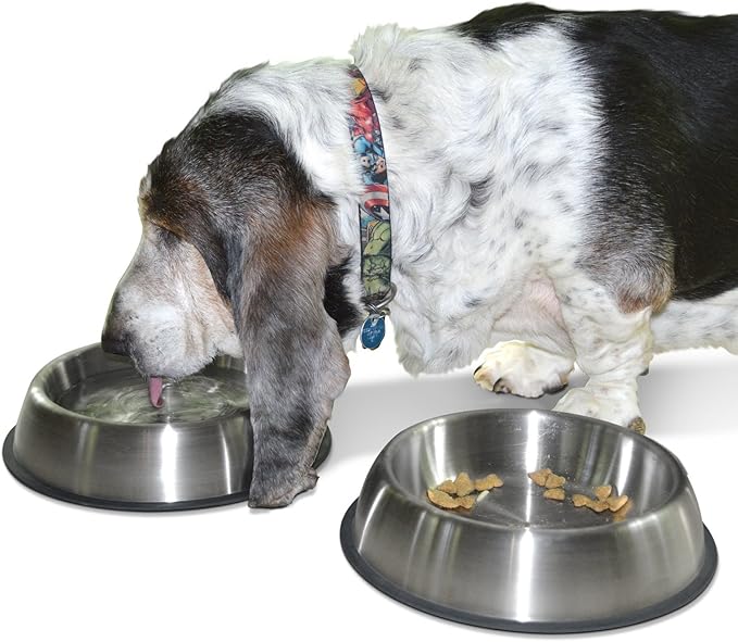 PetFusion Premium Brushed Anti-Tip Dog & Cat Bowls (Set of 2 Bowls). Food Grade Stainless Steel. Bonded Silicone Ring for Traction, Metallic, 32 oz
