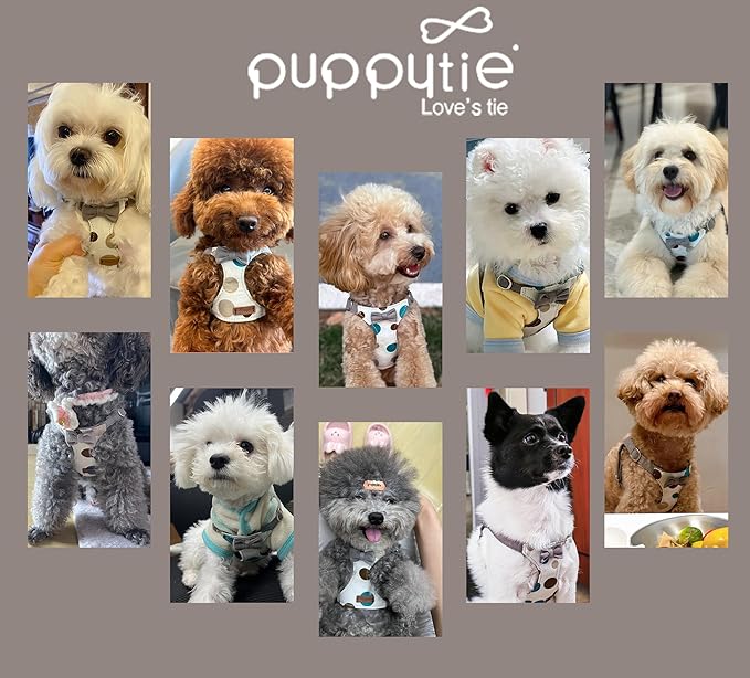 Puppytie No Pull Small Dog Harness with Multifunction Dog Leash,Lightweight Soft Adjustable No Choke Escape Proof Pet Harness Vest Pet Harness Vest,Smoke Grey,S