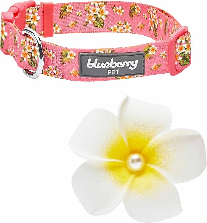 Blueberry Pet Dog Collar, Adjustable Small Dog Collars for Small Dogs, Puppy Collar, Pink Dog Collar with Tropical Flower, Girl Dog Collars, Girl Dog Accessories, Collar for Dogs, 12"-16"