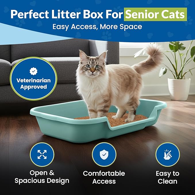KittyGoHere Senior Cat Litter Box, Large Litter pan, Open Top Low Entrance Kitty Litters Box, Lightweight Low Entry Litter Box, Durable, Made in USA (2 Pack - Apple Green)