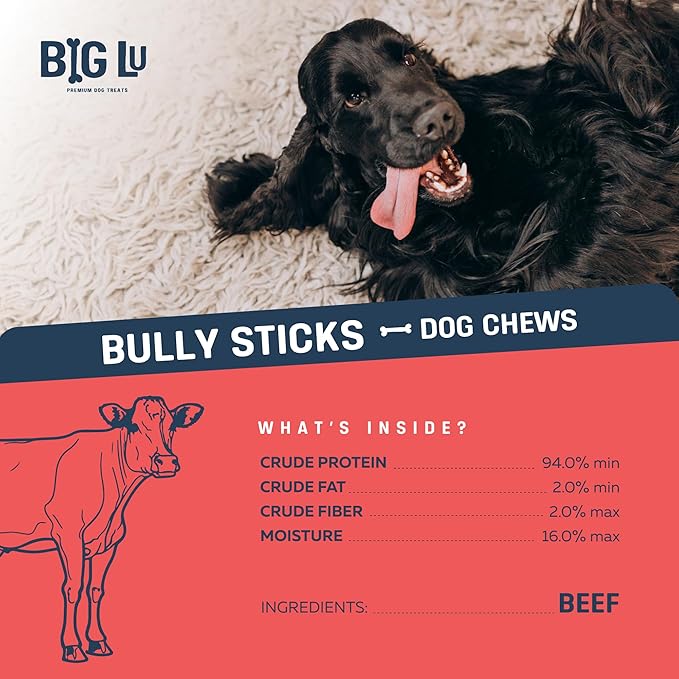 Big Lu - 12” Bully Sticks, 12 Count, Long-Lasting, 100% Grass-Fed Beef Chews for Medium and Large Dogs, Natural Single-Ingredient Fully Digestible Treats, Perfect for Aggressive Chewers
