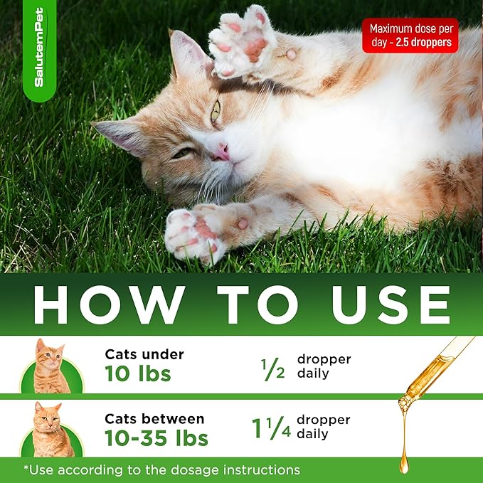 Cat Antibiotic for Infections, UTIs, Respiratory Moments, Cold, & Allergies | Antibiotics for Cats of All Ages & Breeds | Liquid Form | Natural Supplement with Chicken Flavor | 2 Oz