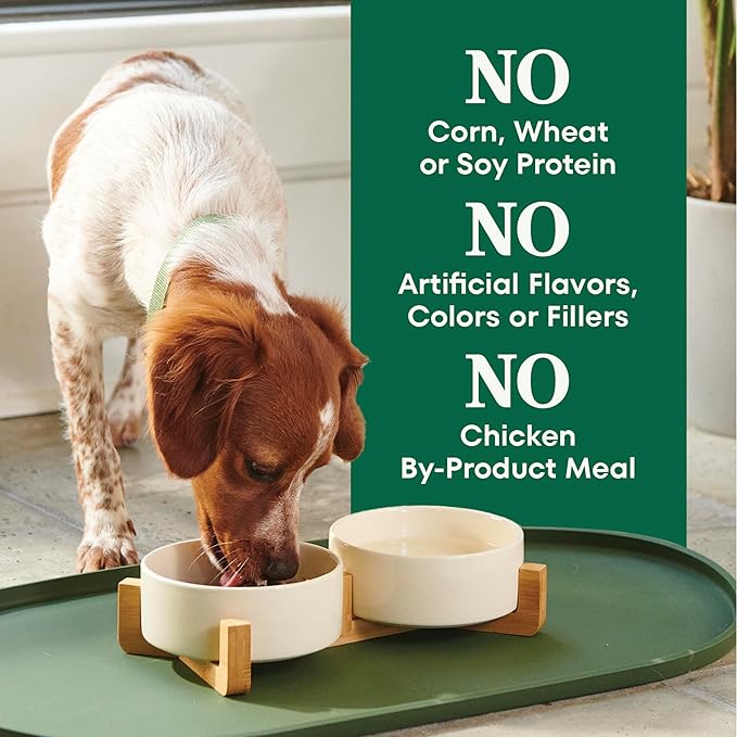 Nutro Natural Choice Small Breed Dog Food Dry, Chicken & Brown Rice Recipe, 13 lb. Bag