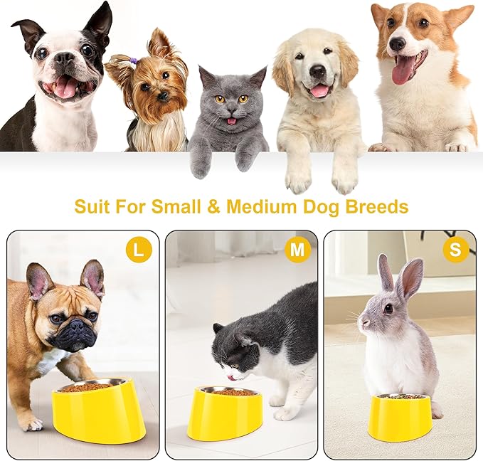 Tilted Dog Bowl Non-Slip & Non-Spill Pet Feeder with Elevated Detachable Melamine Stand, Easy to Get Food Dog Dish, S/100ml Yellow