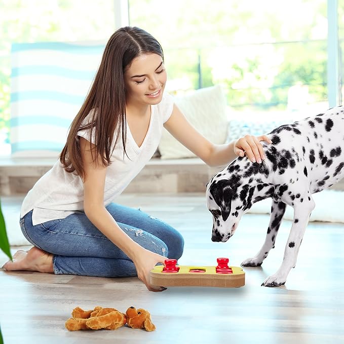 Relaxdays Intelligence Toy for Dogs, Hide Treats, Interactive Dog Toy, Intelligence, MDF, Multicoloured