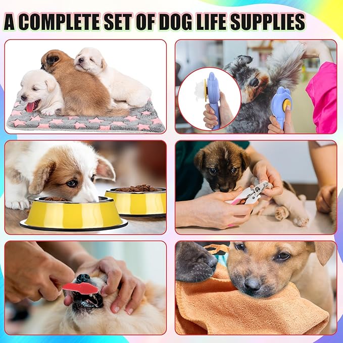 Abbylike 50 Pcs Puppy Supplies Starter Kit for Small Dogs Puppy Essentials Includes Leash, Bowls, Teeth Brushes, Water Bottle, and More Accessories for Dogs Christmas Welcome Gift (Colorful)